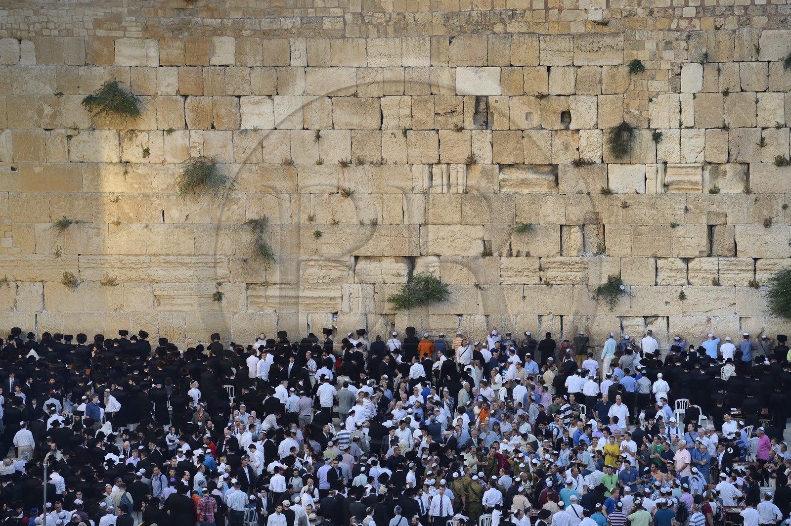 Israel, Jérusalem, ville sainte, vieille-ville classée Patrimoine Mondial de l'UNESCO, Mur des Lamentations ou mur occidental faisant partie des murs de soutènement de l'esplanade du Temple construite par Hérode Ier le Grand