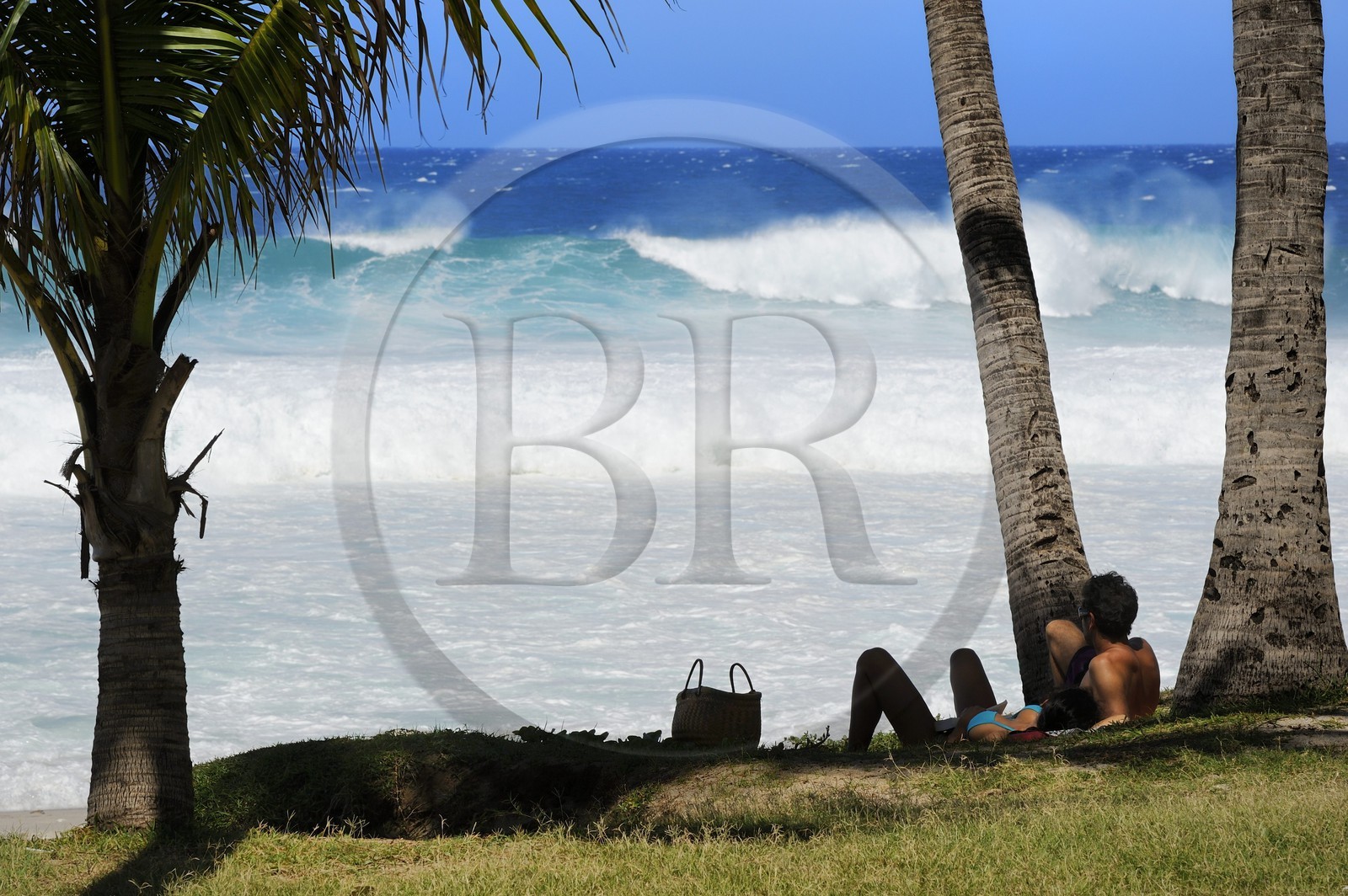 France, île de la Réunion, la côte sud, plage de Grand-Anse