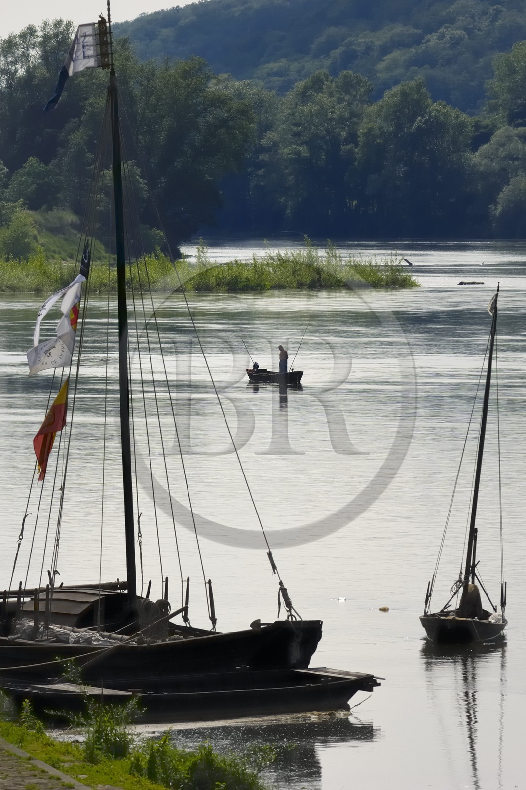 France, Indre et Loire, Loire Valley listed as World Heritage by UNESCO, edges of the Loire river in Brehemont