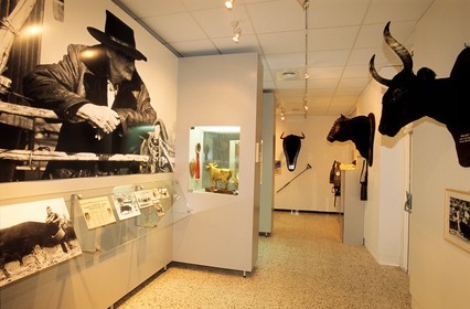 France, Gard (30), Nîmes, Musée des Cultures Taurines