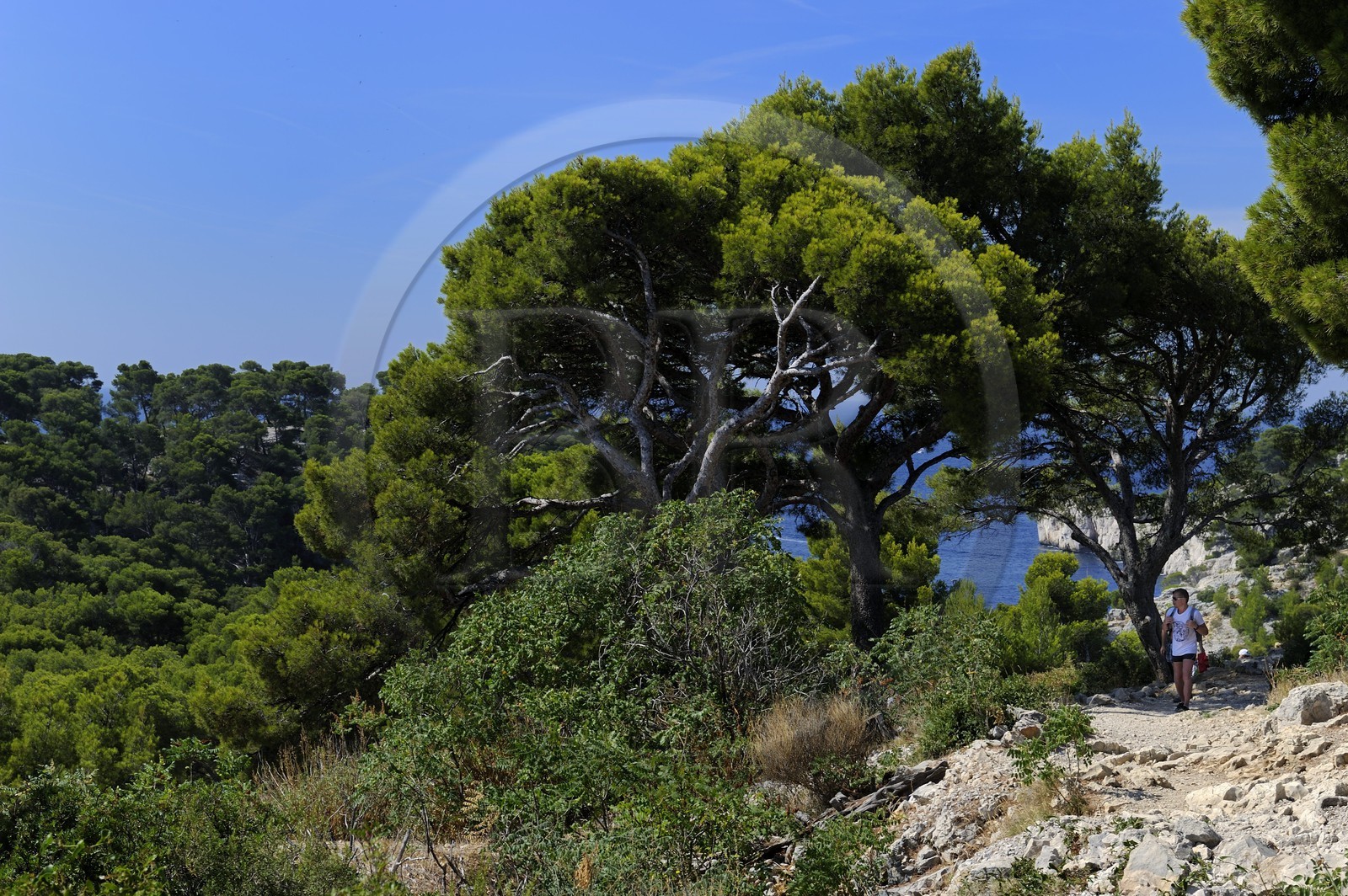 France, Bouches-du-Rhône (13), Cassis, presqu'île de Port Miou