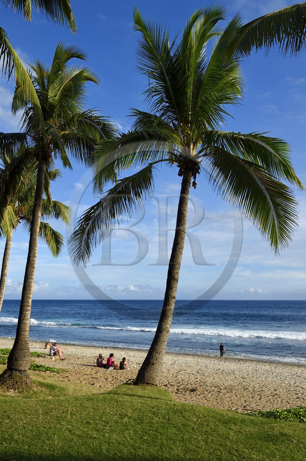 France, Reunion island (French overseas department), southern coast, Grande Anse beach
