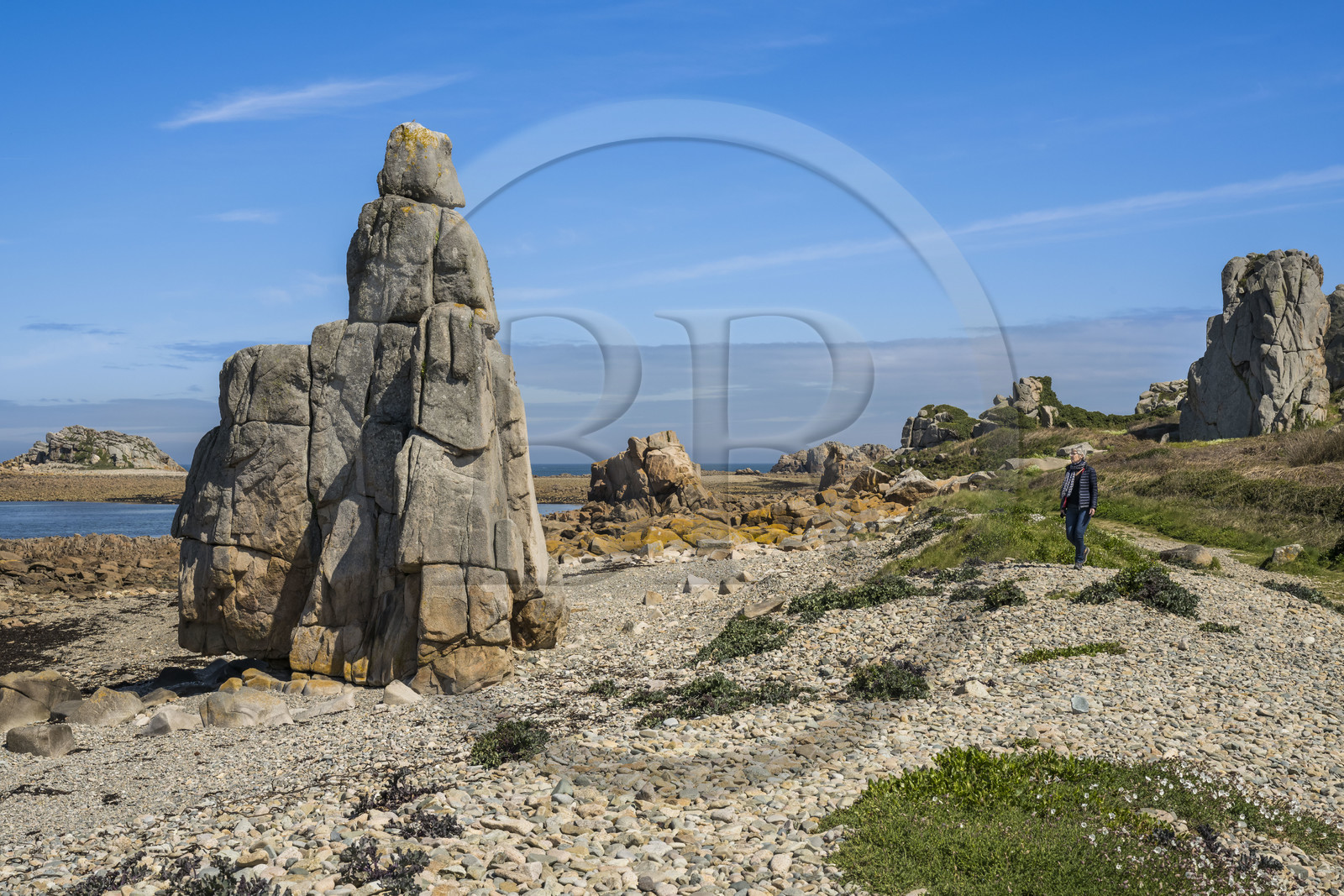 France, Côtes-d'Armor (22), Côte d'Ajoncs, Plougrescant, la plage de Pors (Porz) Scaff à marée basse