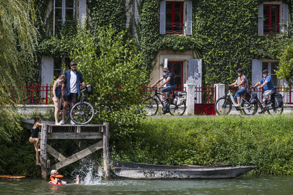 France, Deux-Sèvres (79), le Marais Poitevin, la Venise Verte, Le Mazeau, randonnée à bicyclette le long de la Sèvre Niortaise sur la voie cyclable de la Vélo Francette