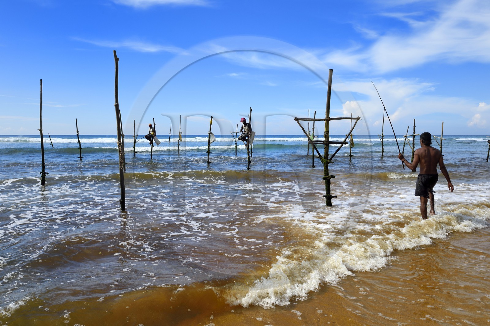 Sri Lanka, Province du Sud, région de Galle, plage de Midigama, pecheurs sur poteaux