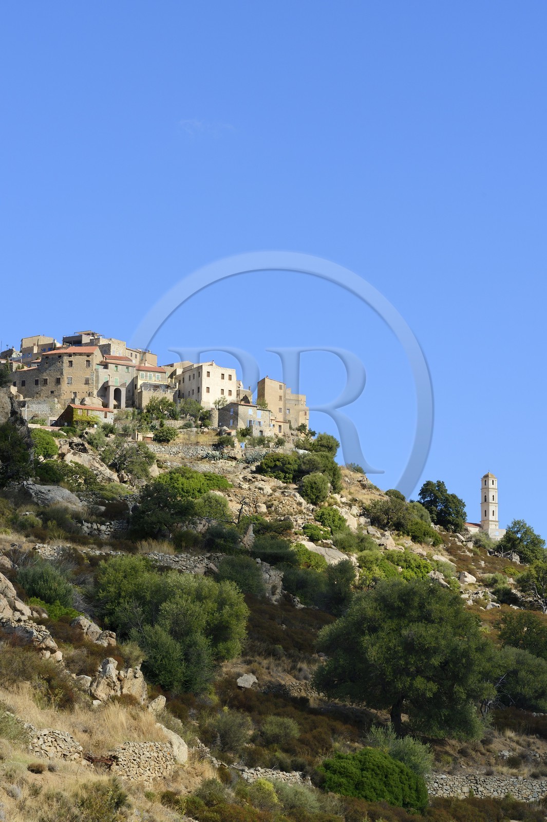 France, Haute-Corse (2B), Balagne, village perché de Sant'Antonino, labellisé Les Plus Beaux Villages de France, vue générale du village avec l'église de l'Annonciation