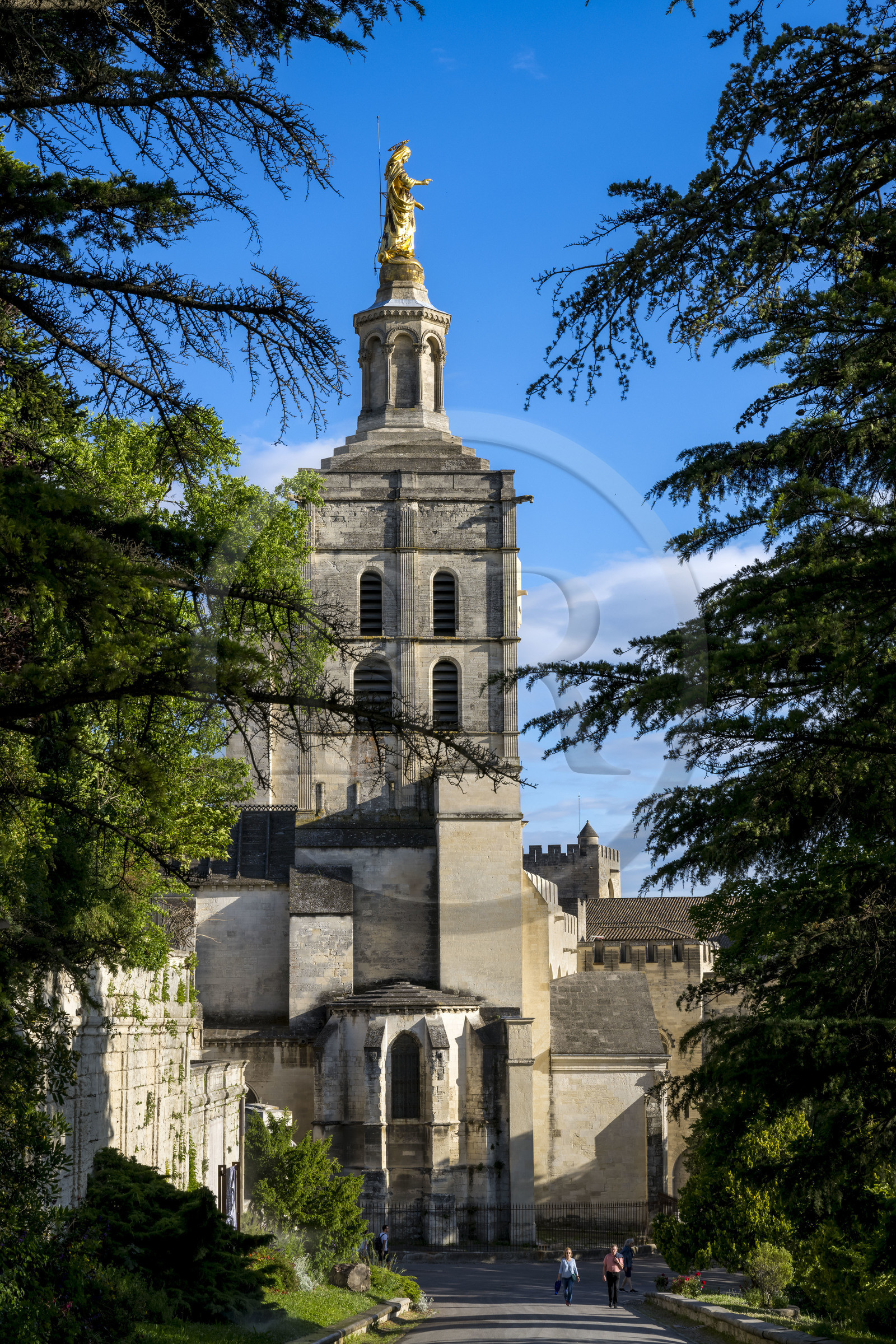 France, Vaucluse, Avignon, the Doms Cathedral listed as World heritage by UNESCO