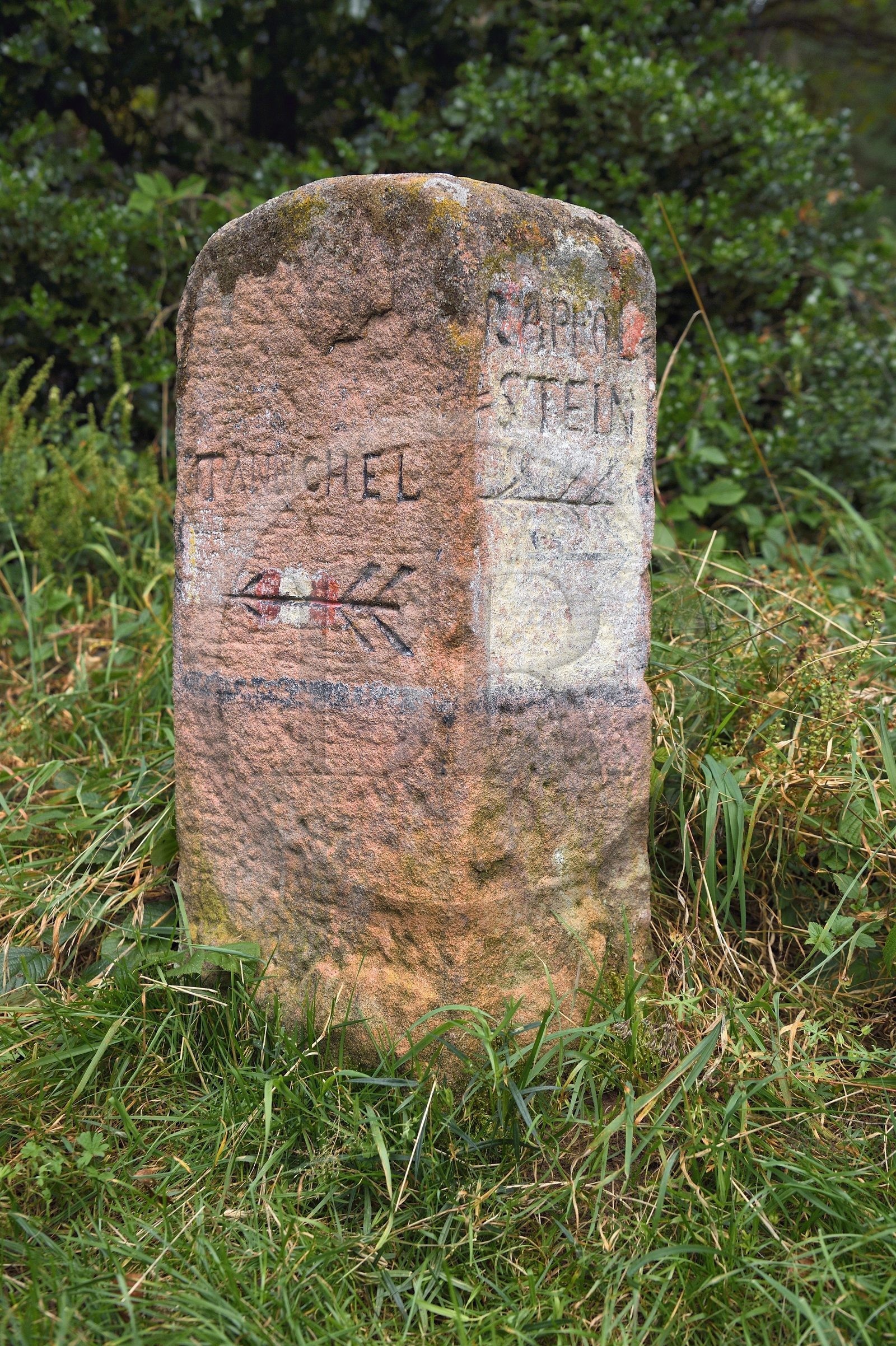 France, Haut Rhin, Thannenkirch, hiking in the Taennchel massif, sandstone direction bollard