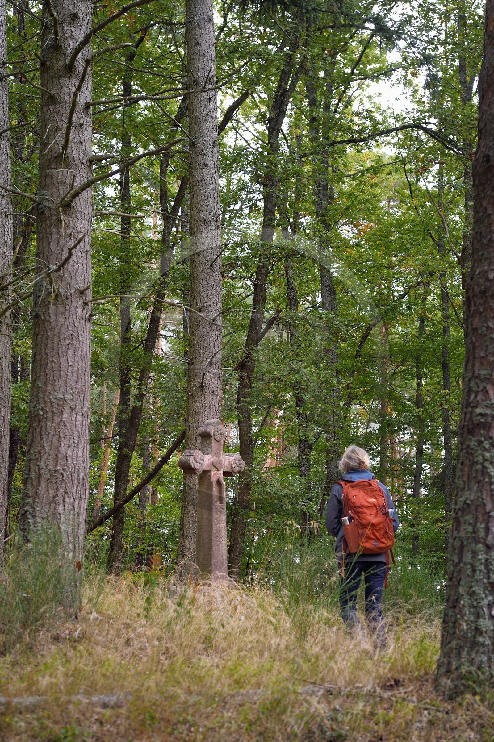 France, Haut-Rhin (68), Thannenkirch, randonnée dans le massif du Taennchel, croix datée de 1754 sur le haut du Schillig probablement dédiée à un bucheron décédé à cet endroit