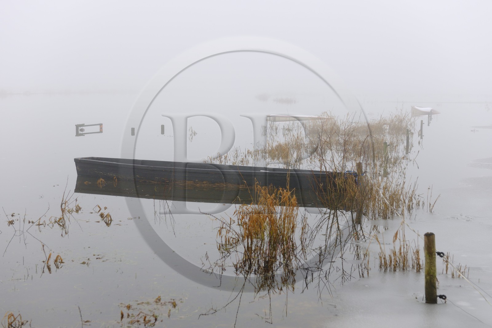 France, Manche, Cotentin, marshes of la Douve towards Liesville sur Douve