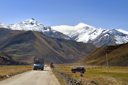 Azerbaïdjan, région de Quba (Guba), chaine de montagne du Grand Caucase, route Xinaliq Yolu vers Khinalug, éleveur et son troupeau de moutons en contrebas du village de Qalaxudat