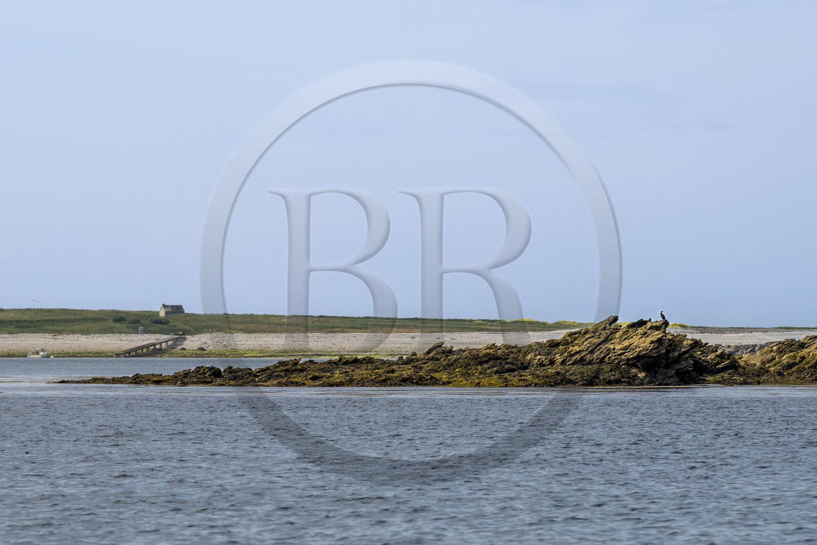 France, Finistère (29), Mer d'Iroise, archipel de Molène, Ile de Quéménès