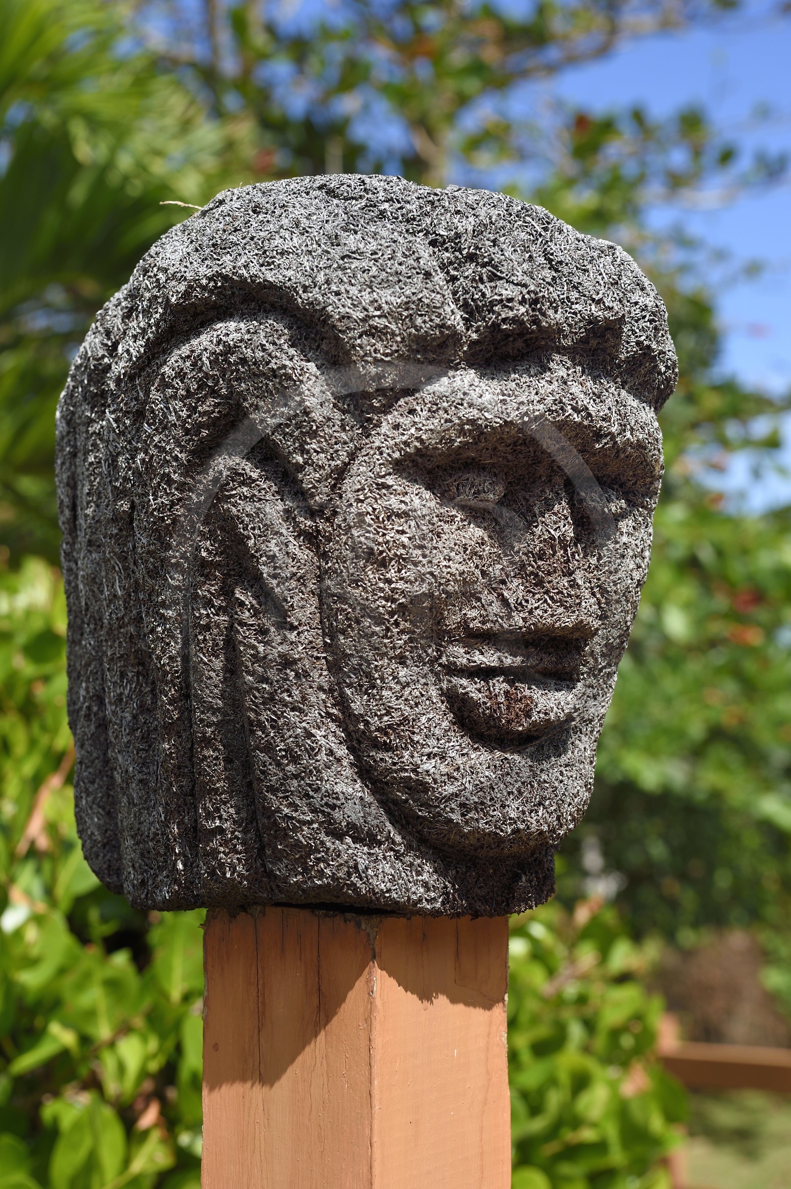 Caraïbes, Ile de la Dominique, Salybia, Territoire Kalinago, Kalinago Barana Autê (le village Caraïbe en bord de mer), grand village des indiens Kalinagos destiné à la mise en valeur et au partage de leurs activités traditionnelles, sculpture traditionnelle amérindienne sur bois de fougère