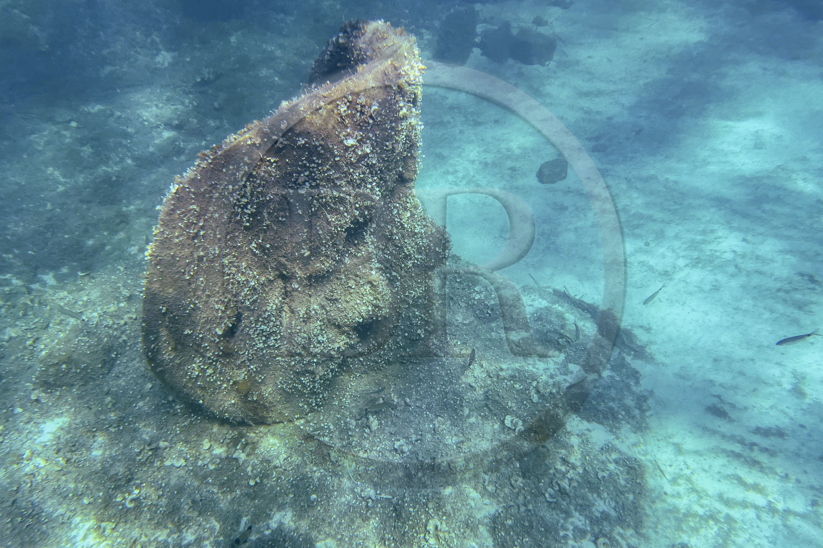 France, Alpes-Maritimes (06), Cannes, Iles de Lérins, Ile Sainte-Marguerite, l’écomusée sous-marin formé de statues monumentales de l’artiste Jason deCaires Taylor, moulées selon les visages de 6 Cannois et immergées à une distance allant de 84 à 132 mètres du rivage pour une profondeur de 3 à 5 mètres