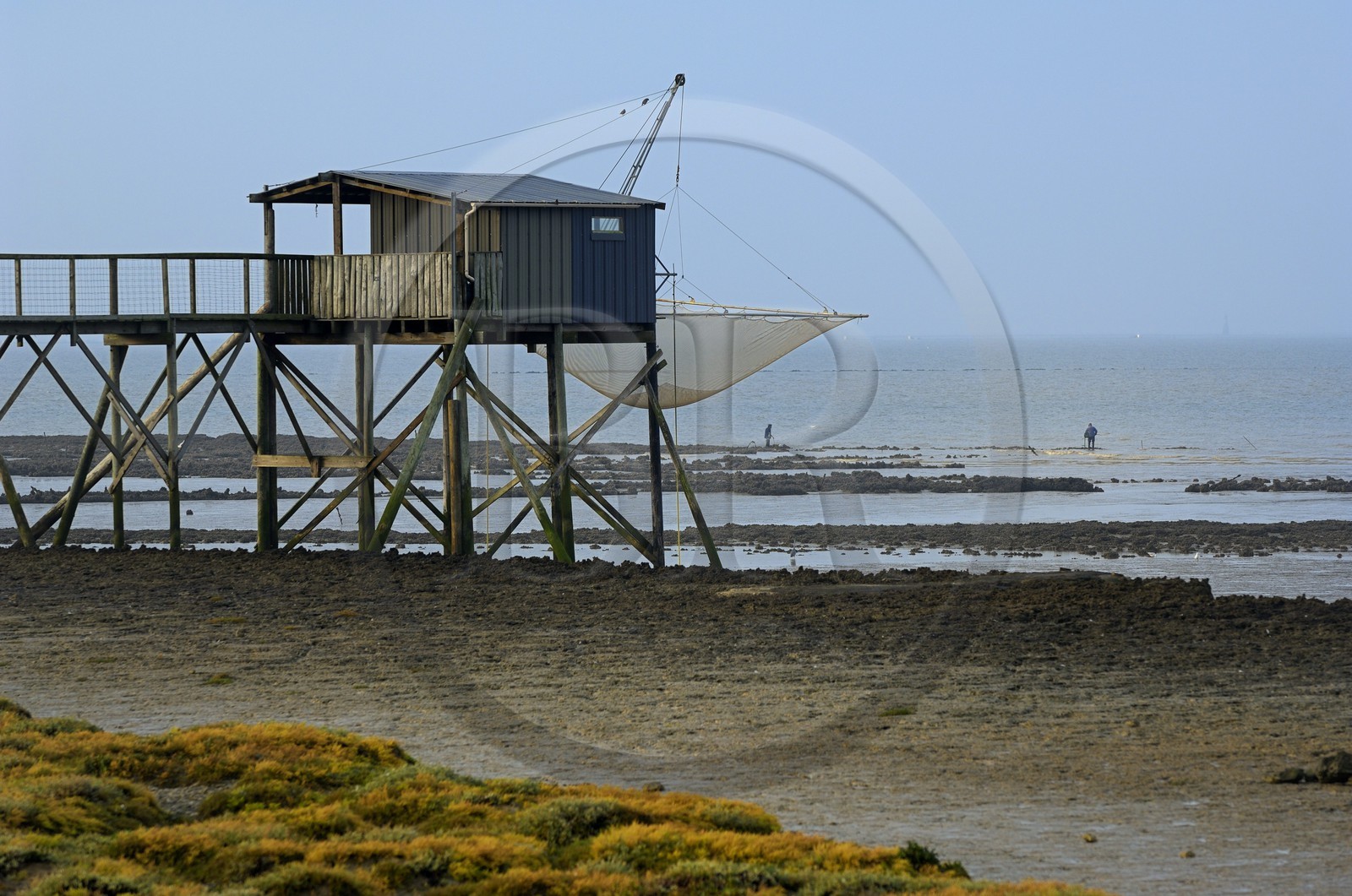 France, Charente-Maritime (17), Ile Madame, carrelets sur la côte