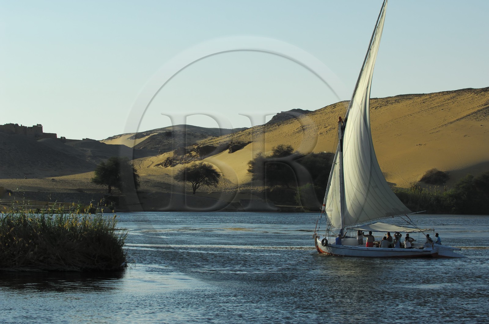 Egypte, Haute Egypte, vallée du Nil, Assouan, felouques sur le Nil et dunes de la rive ouest