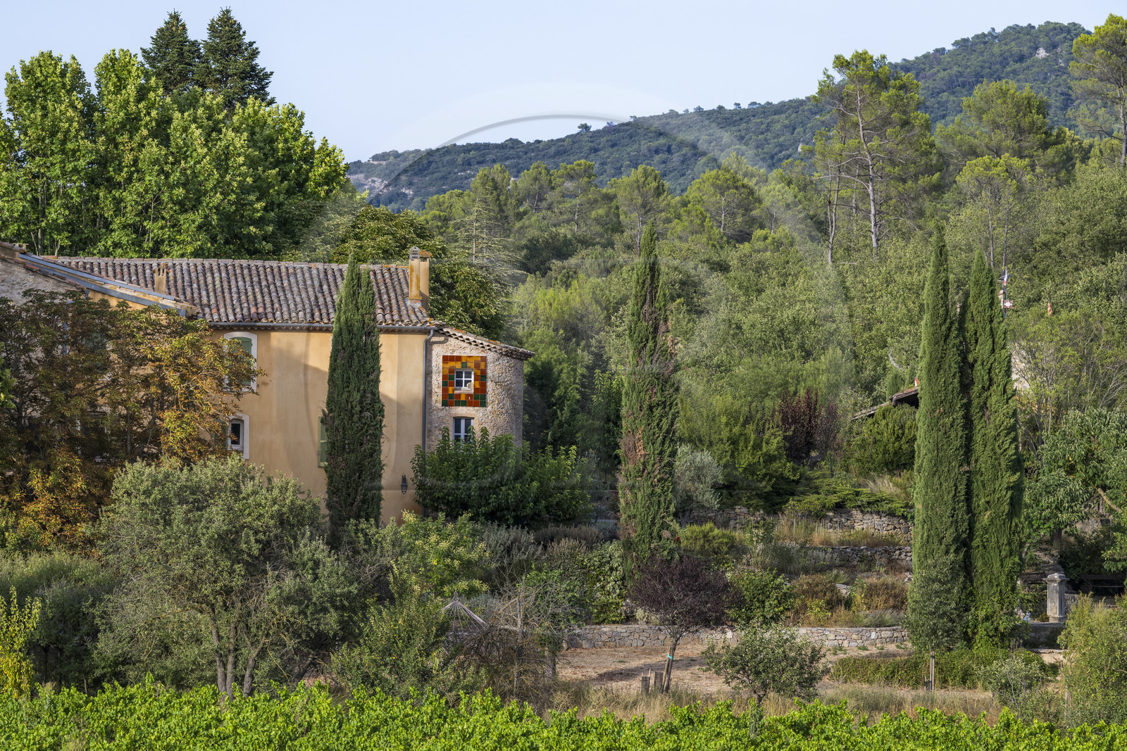 France, Var (83), Provence Verte, Bras, vers Saint-Maximin-la-Sainte-Baume, la maison d'hotes Le Peyrourier - une campagne en Provence