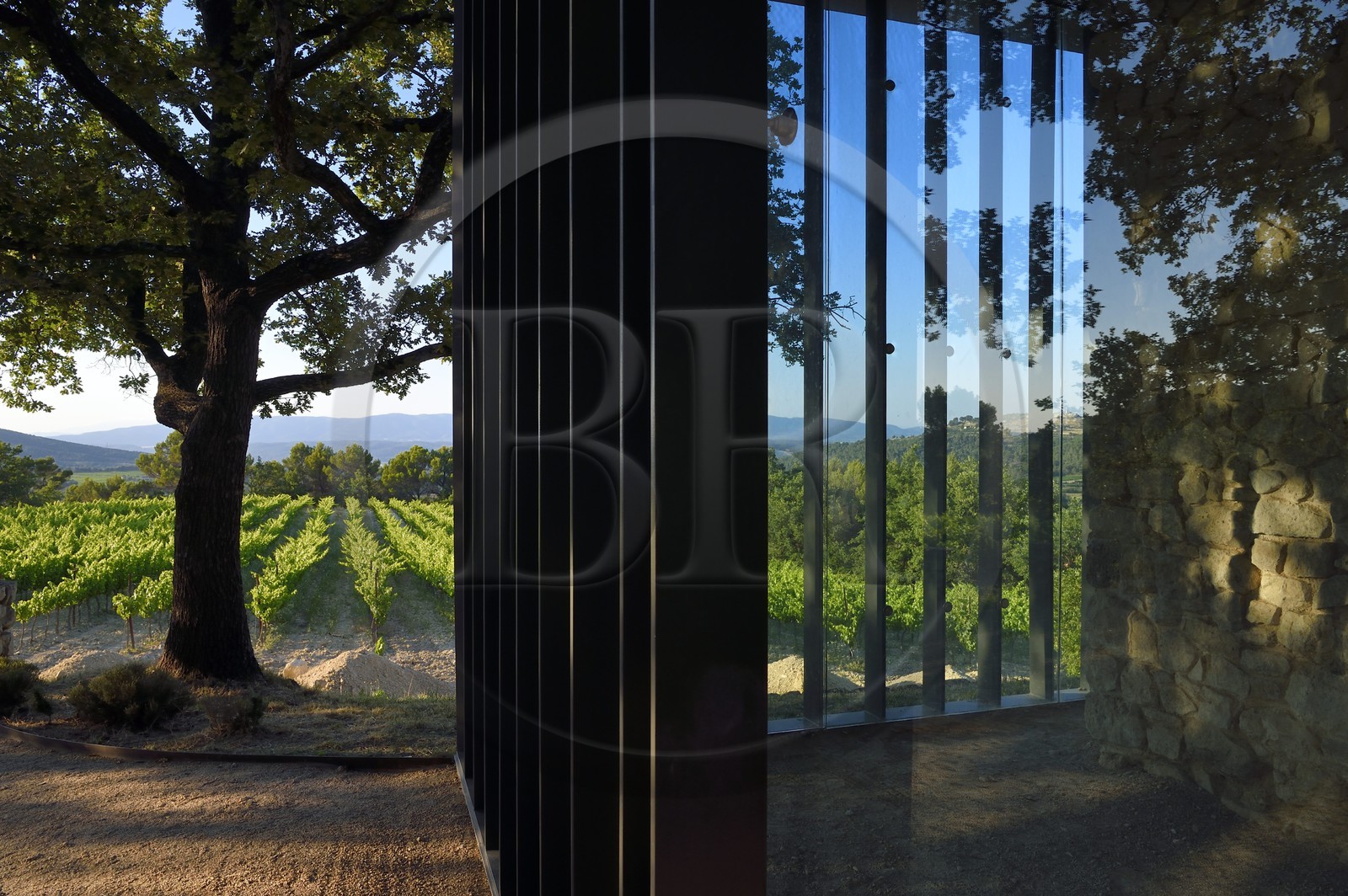 France, Bouches-du-Rhône (13),  Le Puy Sainte Réparade, Chateau La Coste domaine viticole et centre d'art contemporain, ancienne chapelle sertie dans un écrin de verre par l'architecte Tadao Antao (Mention Obligatoire)