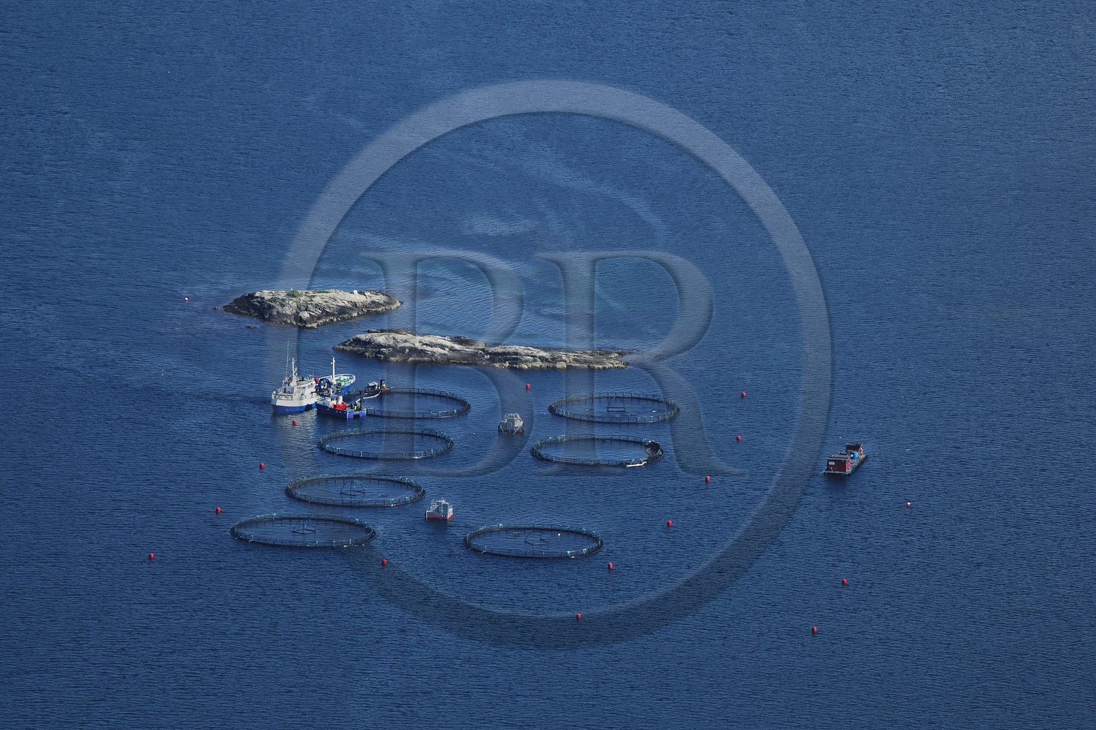 Norvège, Nord-Trondelag, pisciculture en mer (vue aérienne)