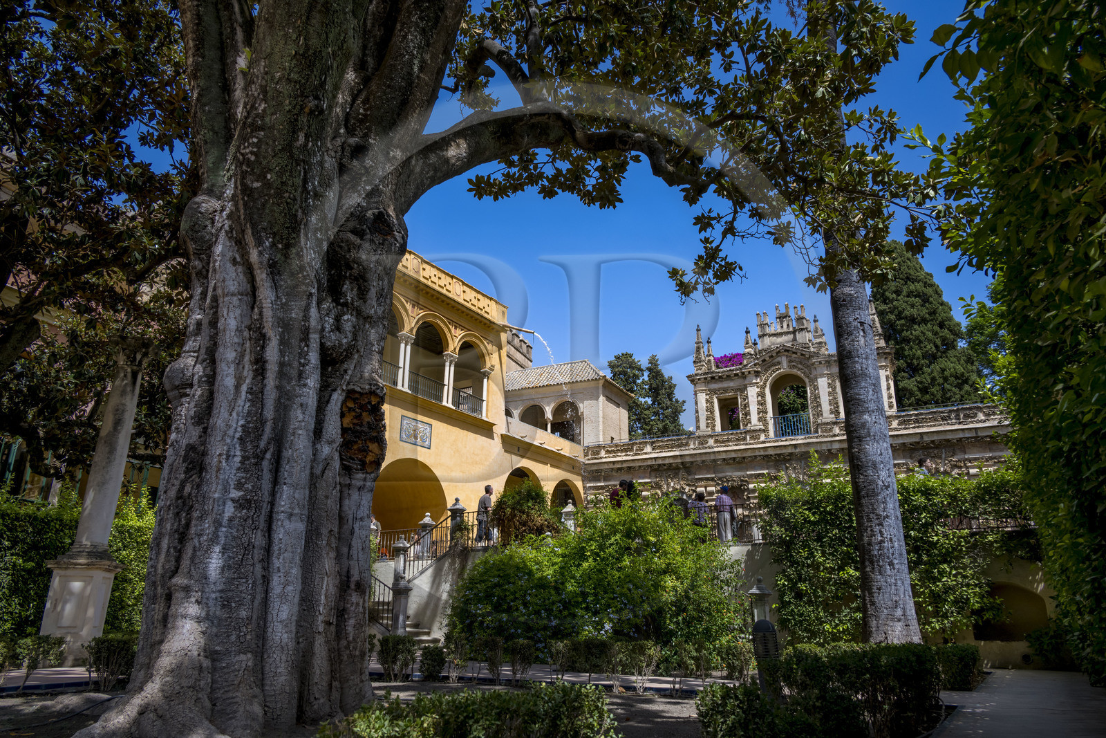 Espagne, Andalousie, Séville, Alcazar de Séville (Reales Alcazares de Sevilla), classé Patrimoine Mondial de l'UNESCO, les jardins et le Palacio Gotico