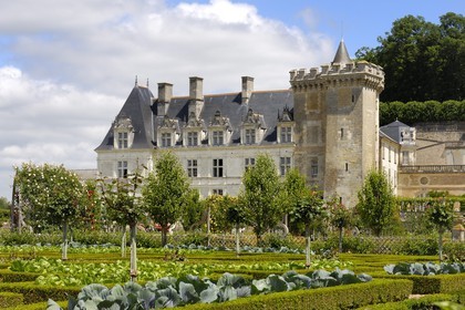 France, Indre et Loire, Loire Valley listed as World Heritage by UNESCO, Chateau de Villandry, the castle and the gardens, owned by Henry and Angelica Carvallo