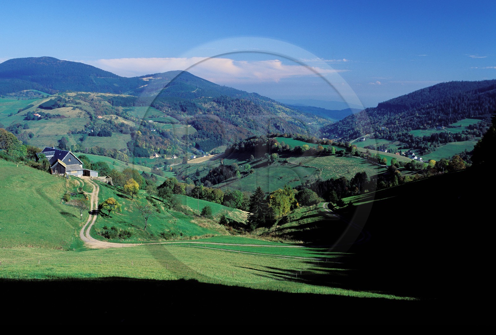 France, Haut-Rhin (68), route des Crêtes vers le col du Bonhomme