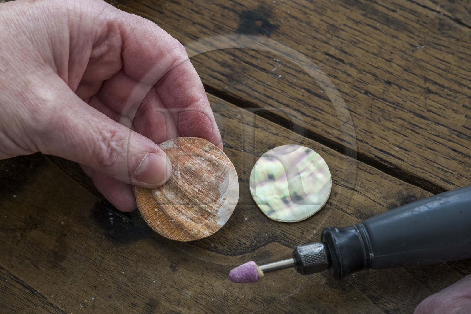 France, Côtes-d'Armor (22), Tréguier, une des soeurs Le Poupon qui sont artisans d'Art nacrier, travaille la nacre de coquilles d'ormeaux dans l'atelier de création Ys Paris