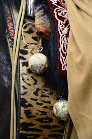 Argentina, Buenos Aires Province, San Antonio de Areco, Tradition Day festival (Dia de Tradicion), bolas (or boleadoras) hanging from the saddle