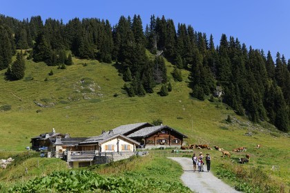 Suisse, Canton de Vaud, Villars sur Ollon, hameau de Bretaye