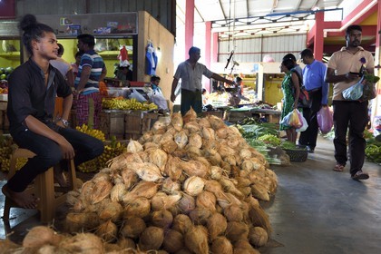 Sri Lanka, province de l'Est, Trincomalee, le marché couvert, vendeur de noix de coco
