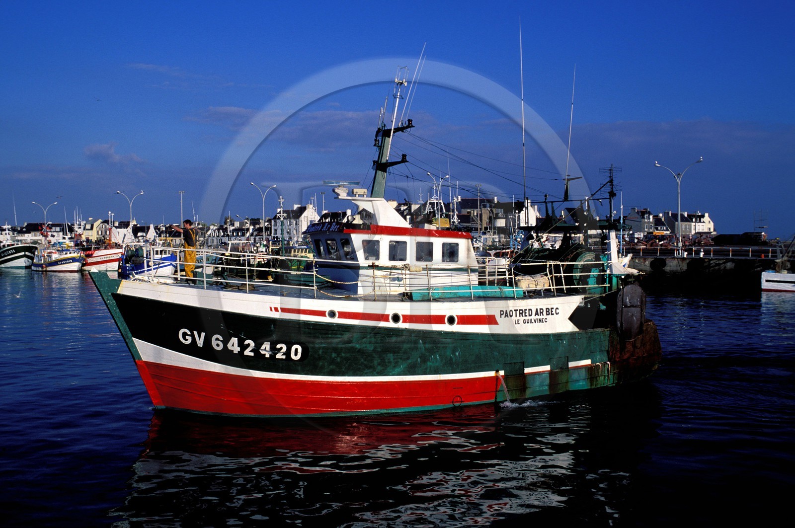 France, Finistère (29), retour de pêche au port de Guilvinec