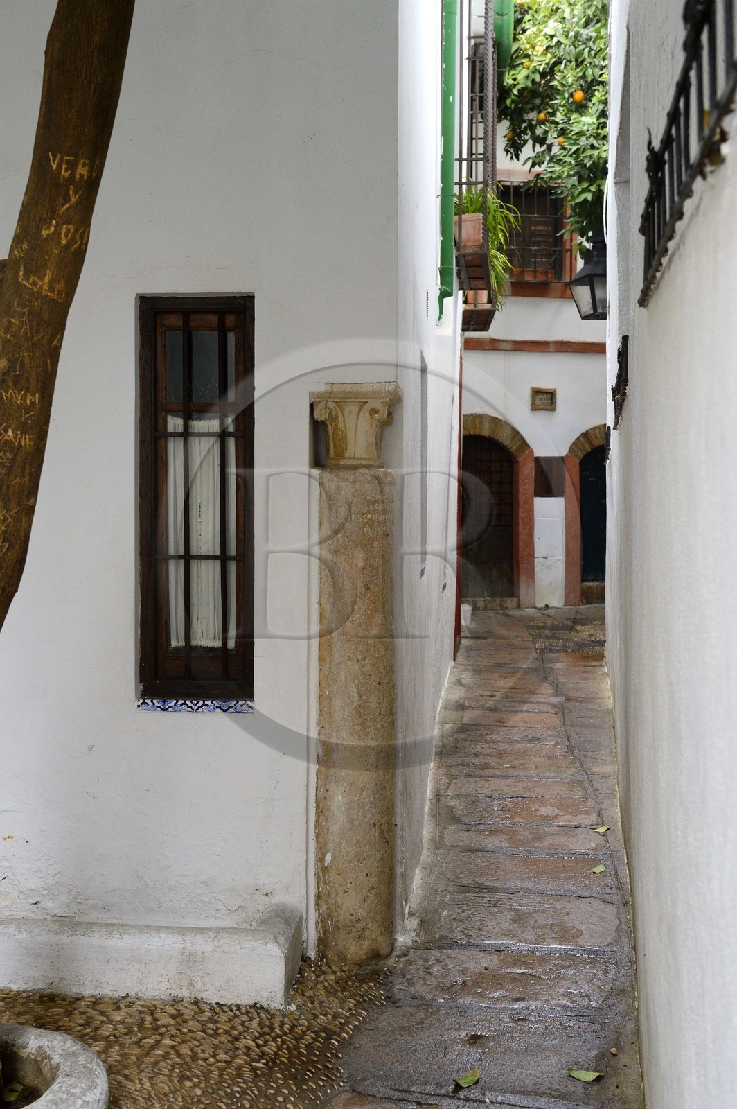 Spain, Andalusia, Cordoba, historical center listed as World Heritage by UNESCO, Juderia district, Calle del Pañuelo (of handkerchief) is a dead end alley extending the street Pedro Jimenez