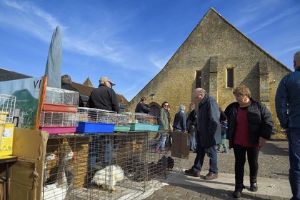 France, Calvados (14), Pays d'Auge, Saint-Pierre-sur-Dives, jour de marché devant les halles du XIe siècle reconstruites au XVe siècle, vente de volaille vivante