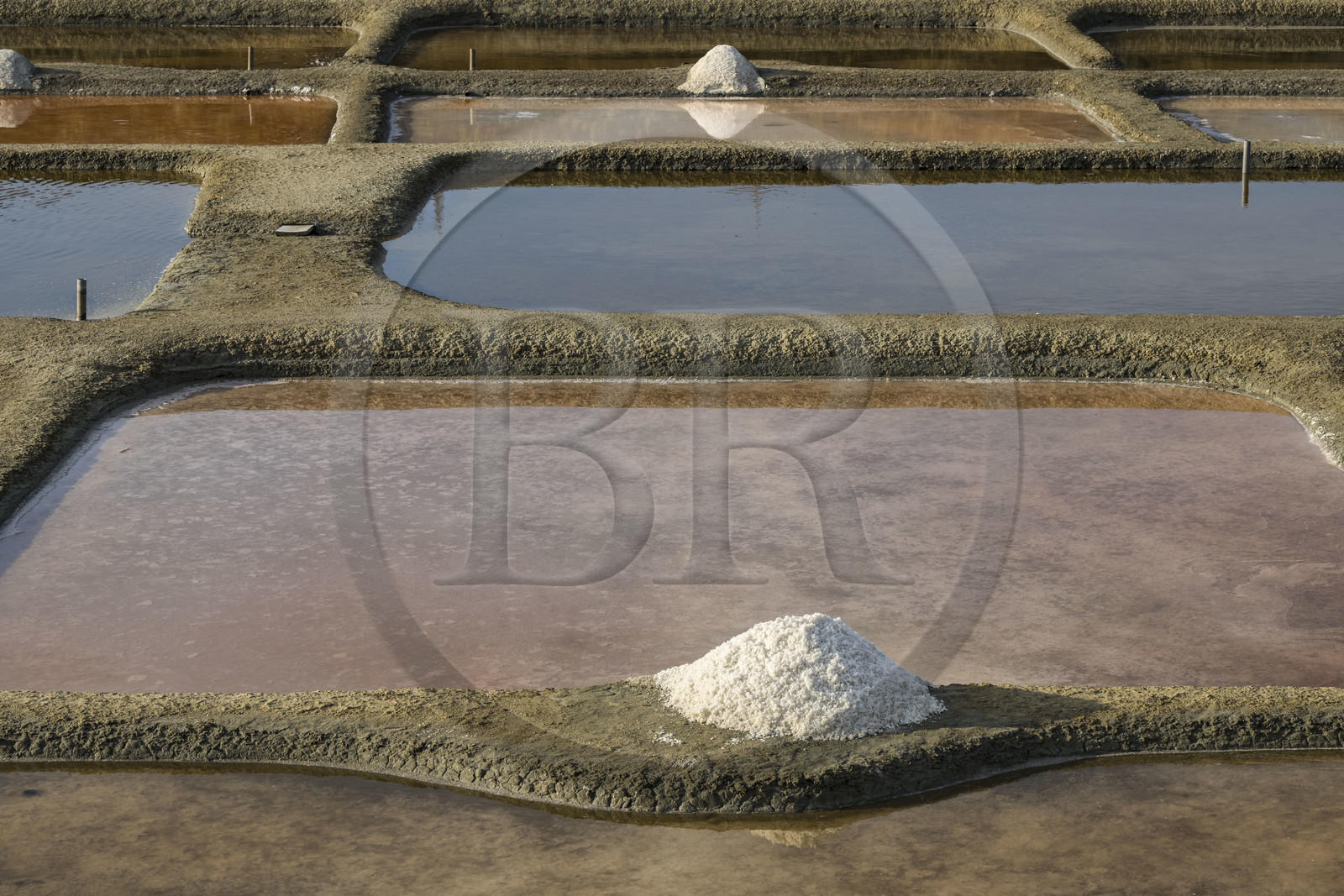 France, Vendée (85), L'Ile d'Olonne vers Les-Sables-d'Olonne, salorge de la Vertonne dans les Marais Salants, récolte artisanale du sel