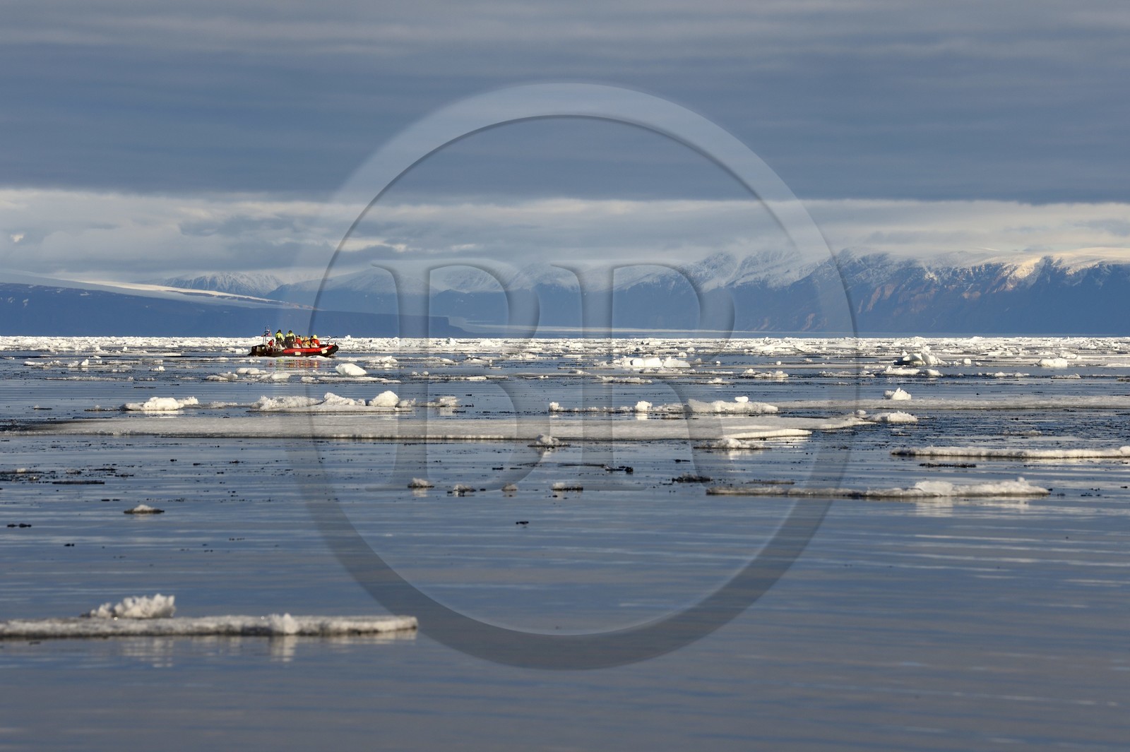 Groenland, cote Nord-Ouest, Smith sound au nord de la baie de Baffin, morceaux de glace de la banquise arctique et un PolarCirkel boat (zodiac) d'exploration du bateau de croisière MS Fram de la compagnie Hurtigruten, la côte canadienne de l'ile d'Ellesmere en arrière plan