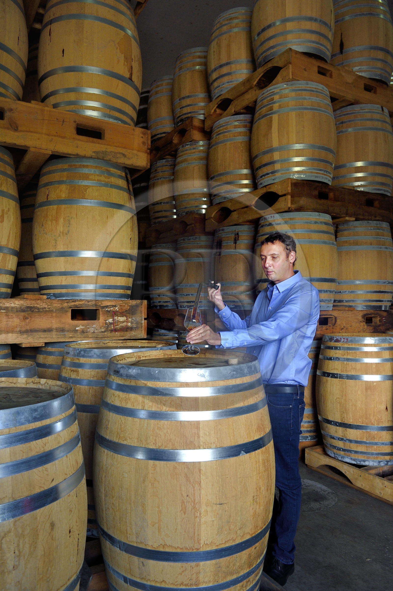 France, Reunion island (French overseas department), Saint Pierre, estate of the Isautier distillery, aging of old rums in the cellars between 6 and 14 months in new barrels then several years afterwards by batch in red barrels, Cyril Isautier director of the rums and punches branch of the Isautier group takes a sample with a pipette for tasting