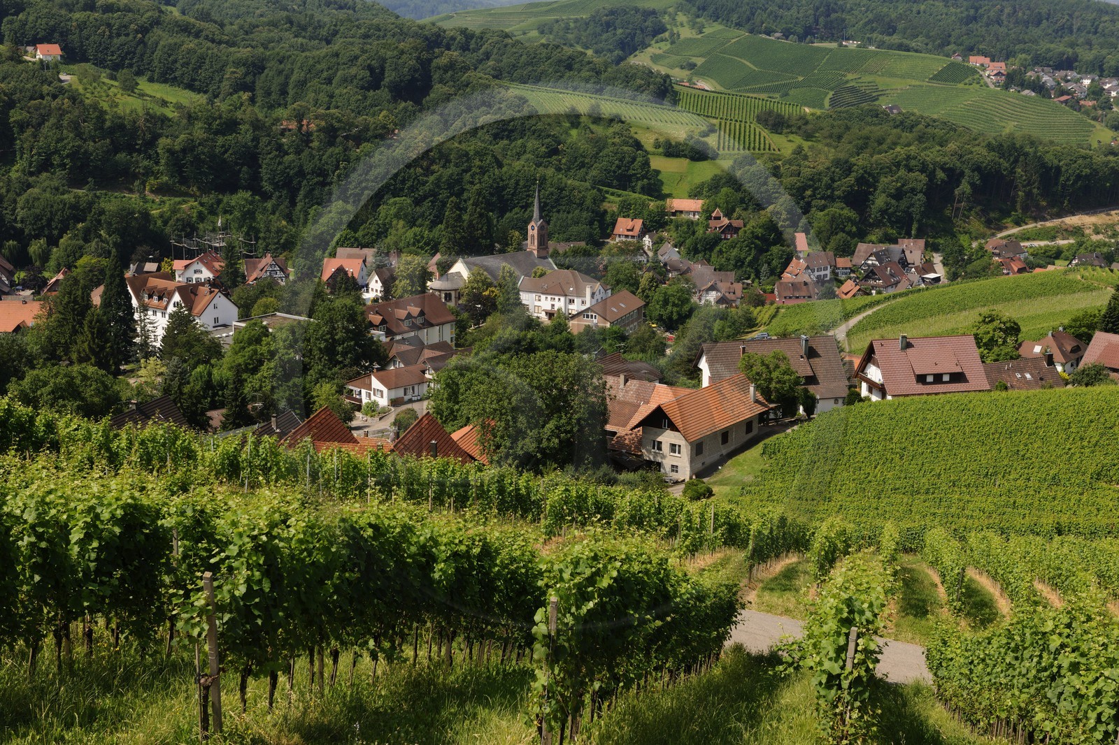 Germany, Black Forest, Schwarzwald, Baden-Württemberg, Sasbachwalden surrounded by its vineyard