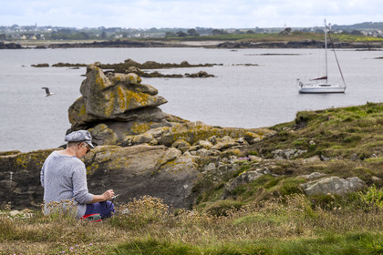 France, Finistère (29), Pays des Abers, Ile Vierge dans l'archipel de Lilia, peintre