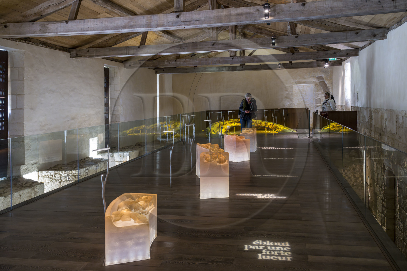 France, Vendée (85), Nieul-sur-l'Autise, Abbaye royale Saint-Vincent, salle des chapiteaux, reproduction des chapiteaux en résine translucide