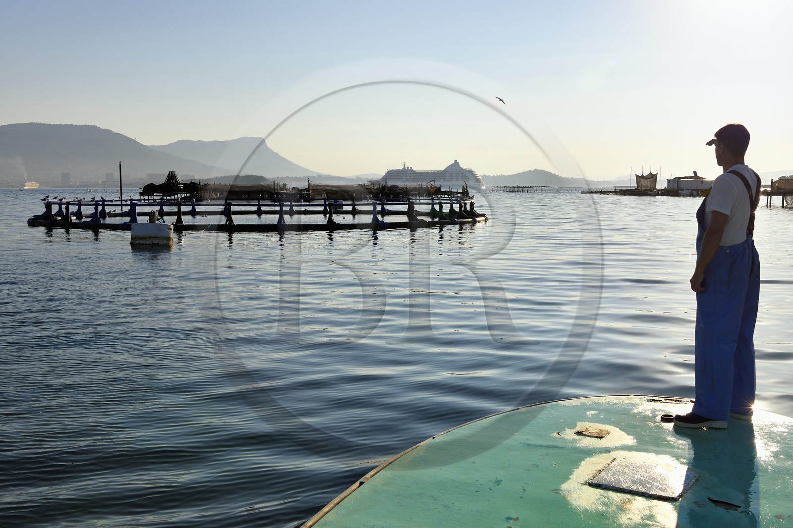 France, Var (83), La Seyne-sur-Mer, pisciculture dans la baie de Tamaris