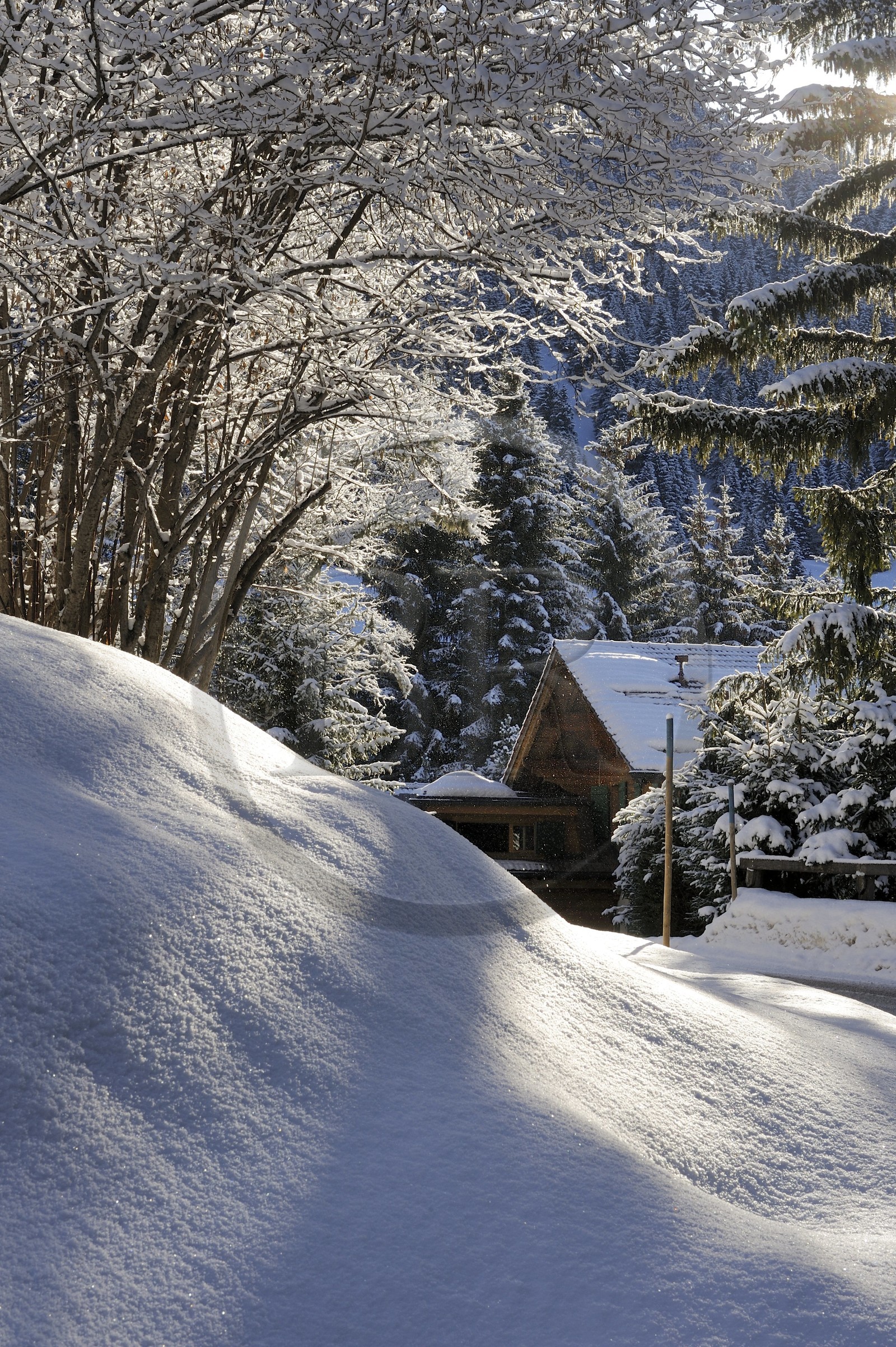 Suisse, Canton de Vaud, Villars sur Ollon, chalet sous la neige