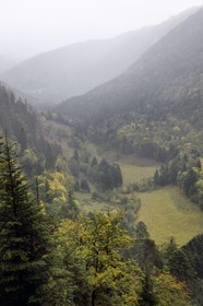 France, Haut-Rhin (68), Parc naturel régional des ballons des Vosges, la vallée de Storckensohn à l'ouest de Fellering