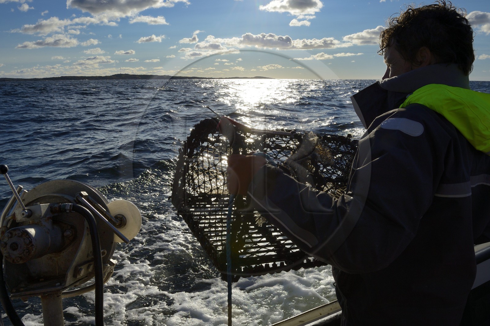 Suède, Västra Götaland, Iles Koster, sortie en mer pour récupérer les casiers à homards