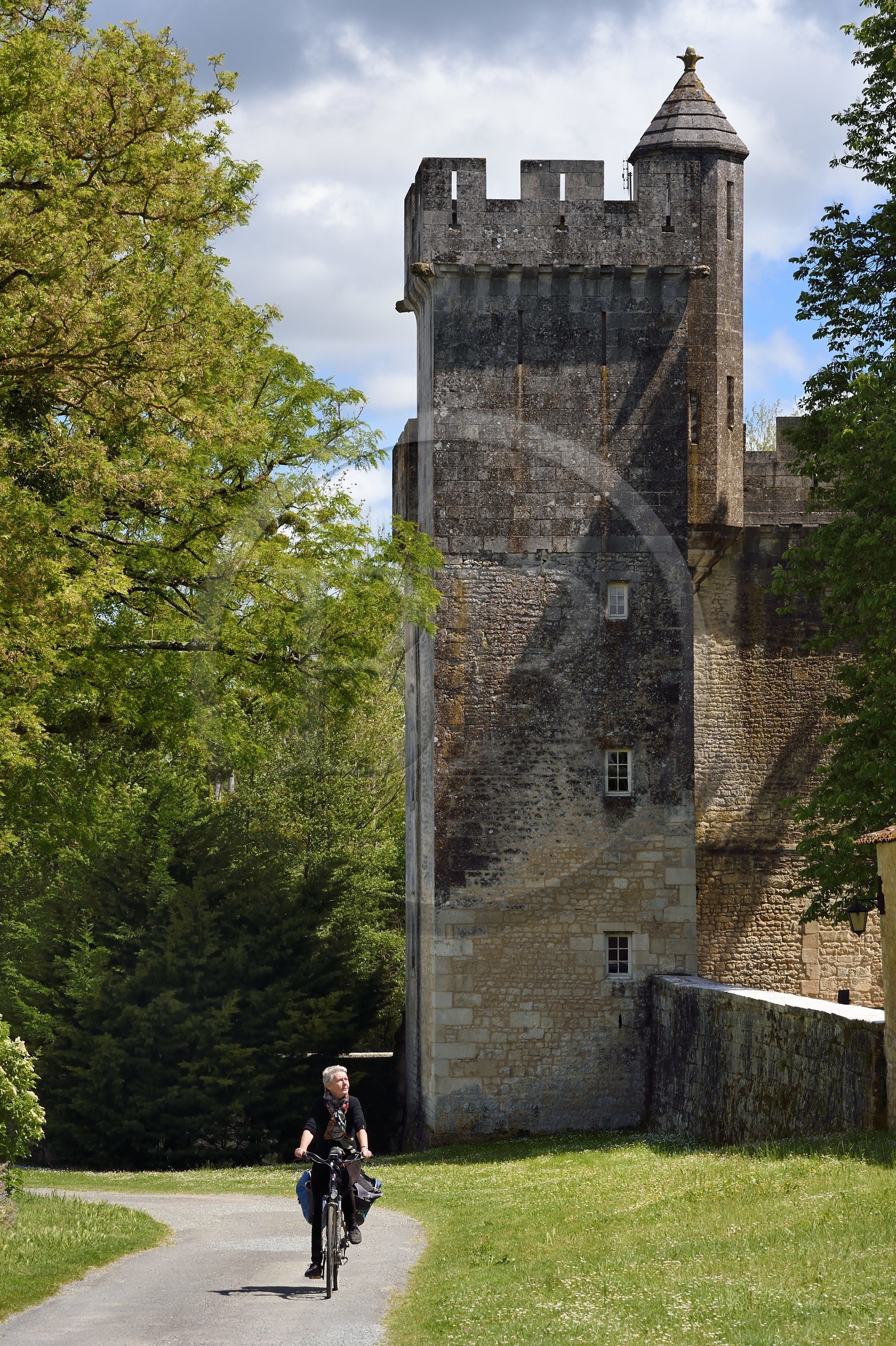 France, Charente-Maritime (17), Saintonge, Crazannes, chateau de Crazannes, le donjon, vestige du mur d'enceinte de l'ancienne forteresse médiévale du XIème siècle