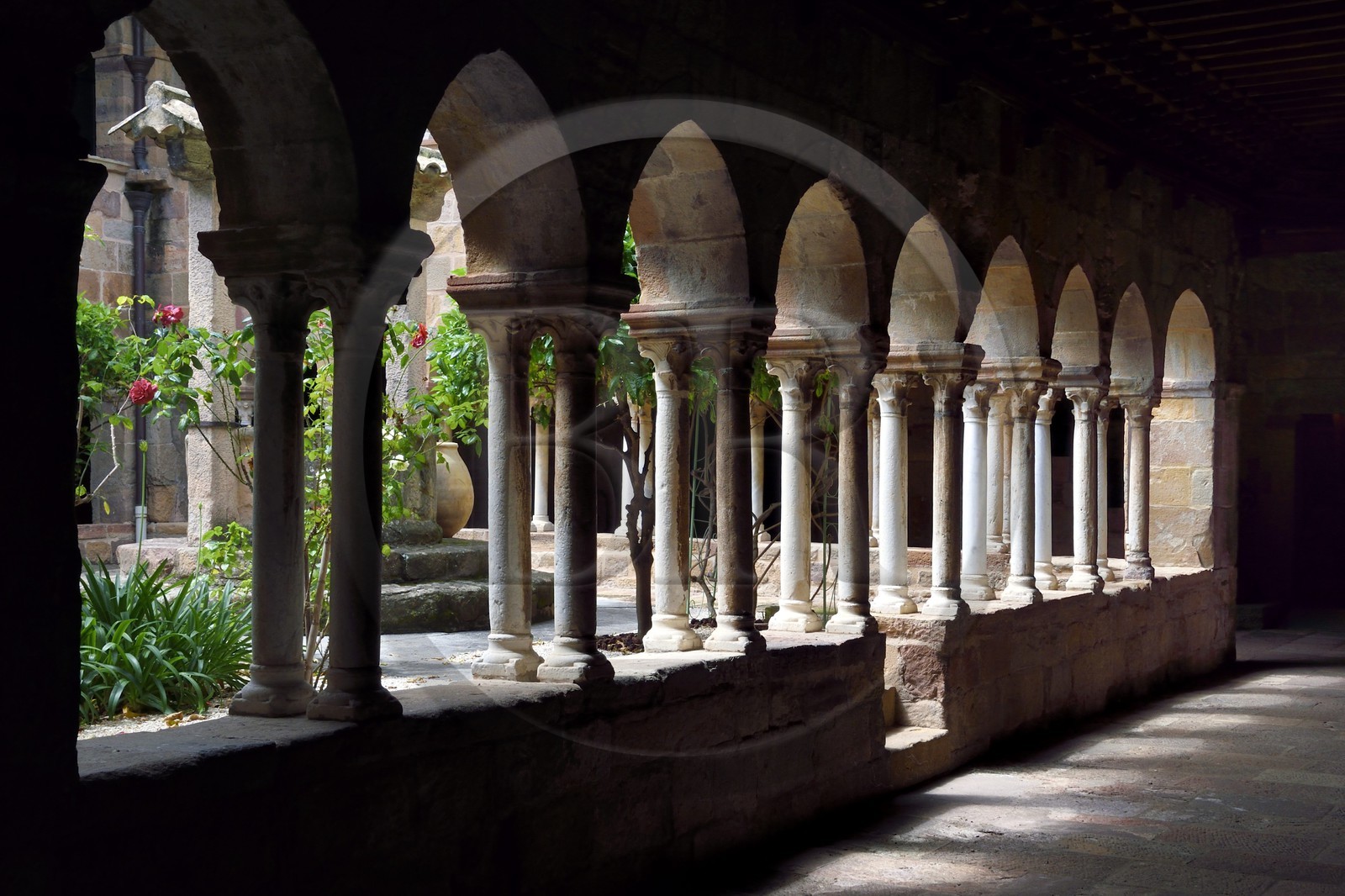 France, Var (83), Fréjus, la cathédrale Saint Léonce (XVIe siècle), cloitre canonial roman du XIIe siècle