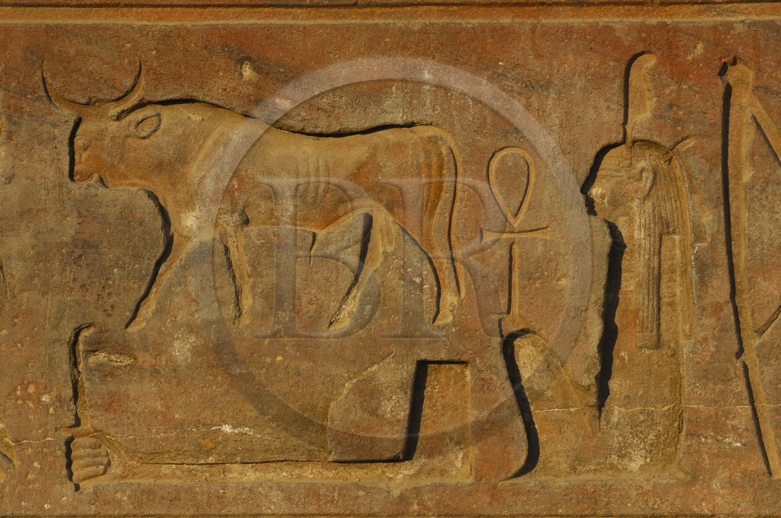 Egypte, Haute Egypte, vallée du Nil, temple de Louxor classé Patrimoine Mondial de l'UNESCO