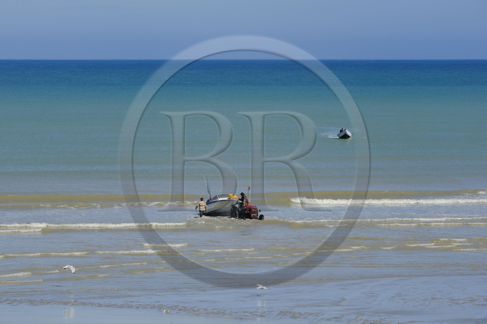 France, Seine-Maritime (76), Veules-les-Roses, départ à la pêche à bord du bateau La Pomme tiré par un tracteur sur la plage