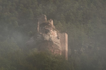France, Bas-Rhin (67), Parc naturel régional des Vosges du Nord, Obersteinbach, foret domaniale de Steinbach, les ruines du chateau du Petit-Arnsberg perché sur un rocher de grès dans la brume