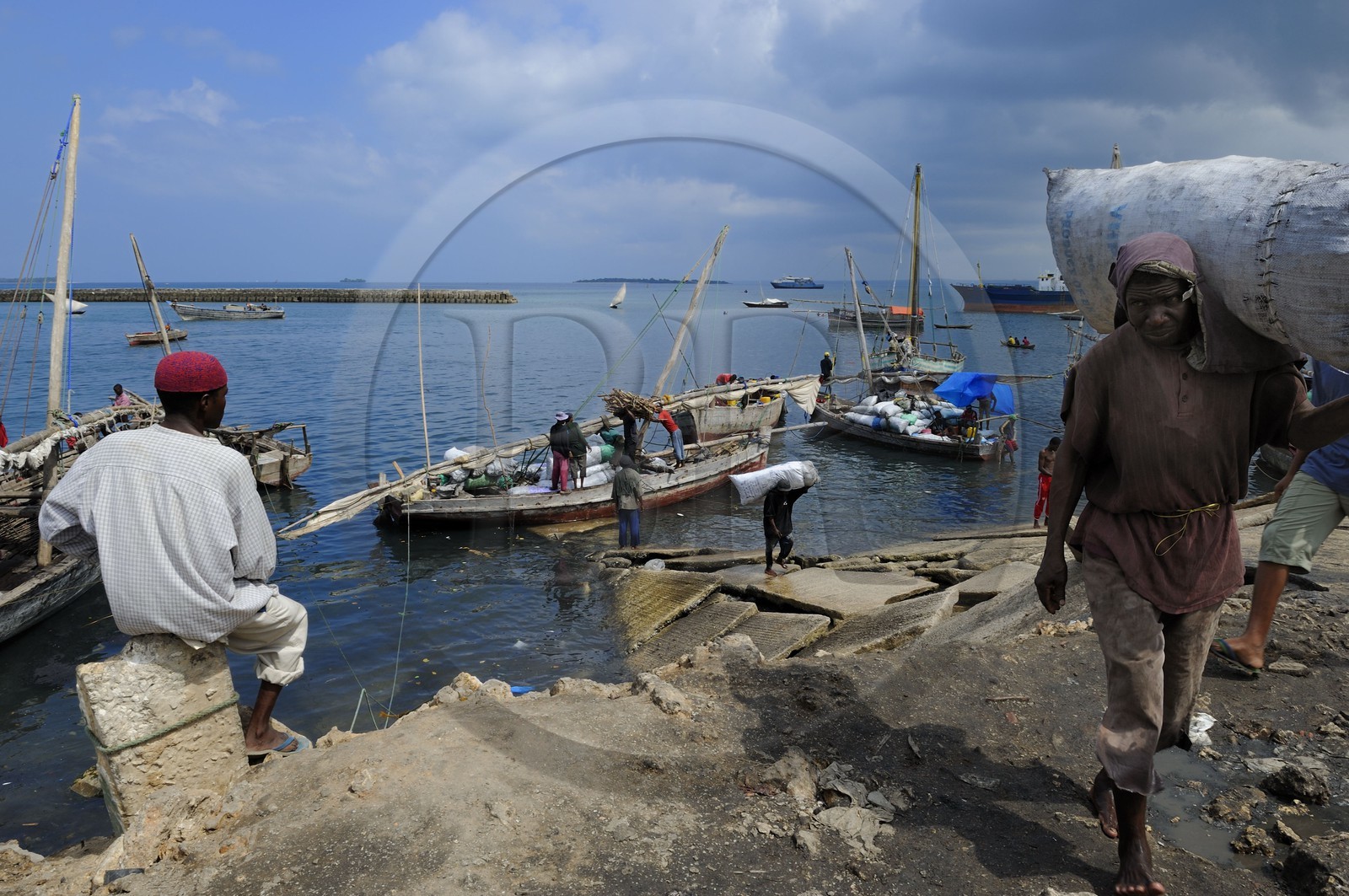 Tanzanie, archipel de Zanzibar, île de Unguja (Zanzibar), ville de Zanzibar, quartier Stone Town, classé Patrimoine Mondial de l' UNESCO, port des dhows (boutres traditionnels), déchargement du charbon