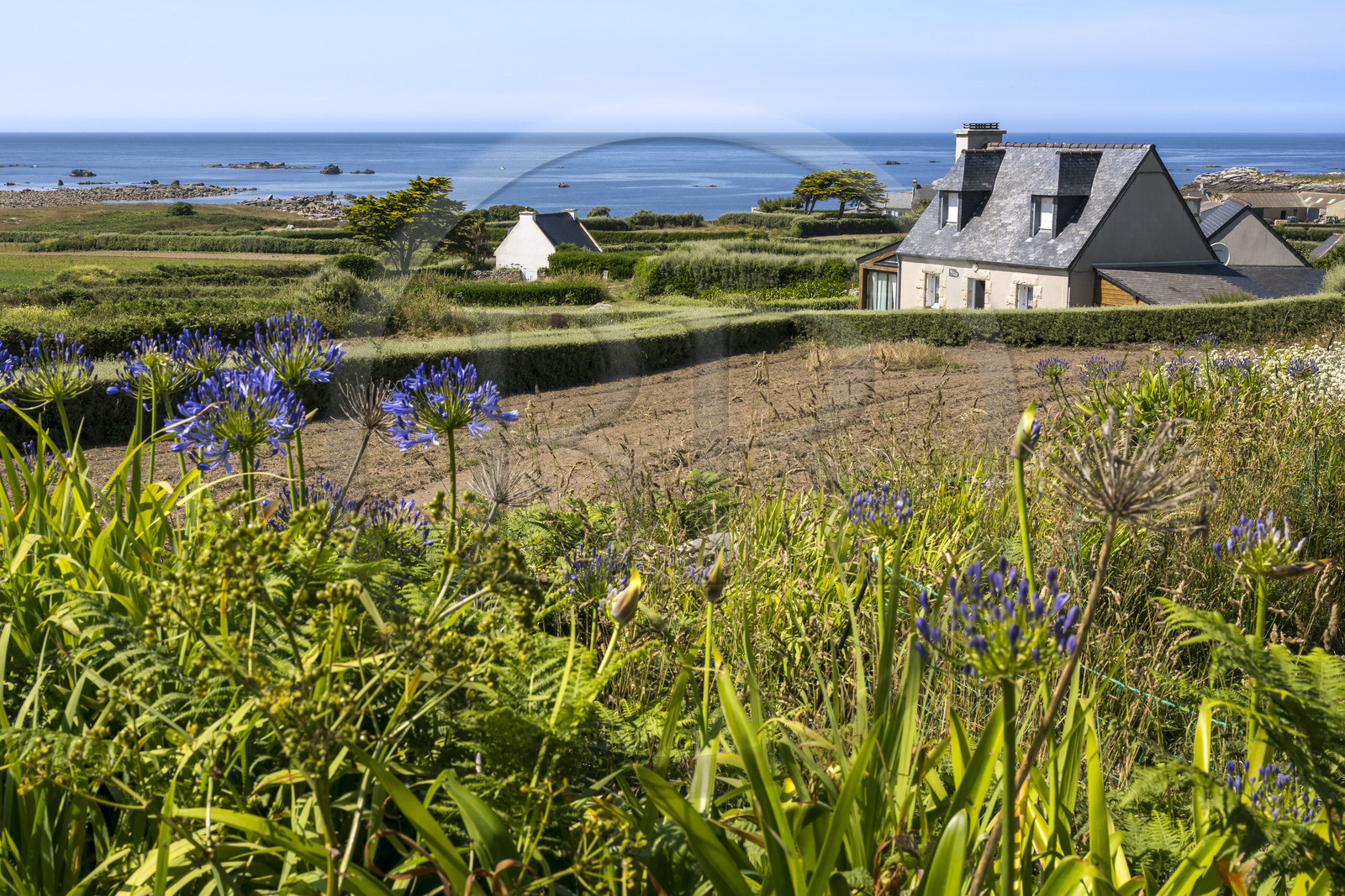 France, Finistère (29), Iles du Ponant, Ile de Batz, hameau de la côte nord ouest